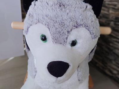 Supamas / važiuojantis šuniukas