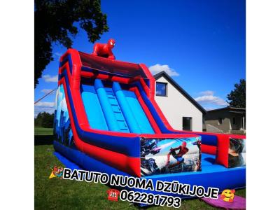 PRIPUČIAMO BATUTO NUOMA DZŪKIJOJE 