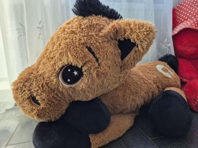 Atiduodu dideli minksta pony