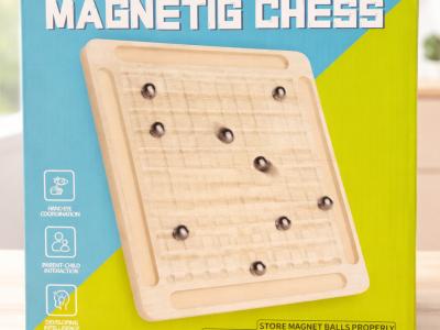 Magnetinis žaidimas 