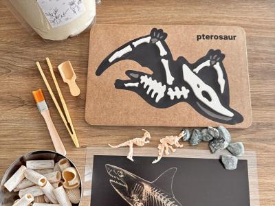 Edukacinis rinkinys - Paleontologija ir fosilijos