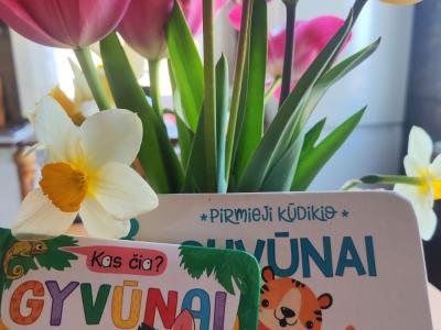 Knygelės